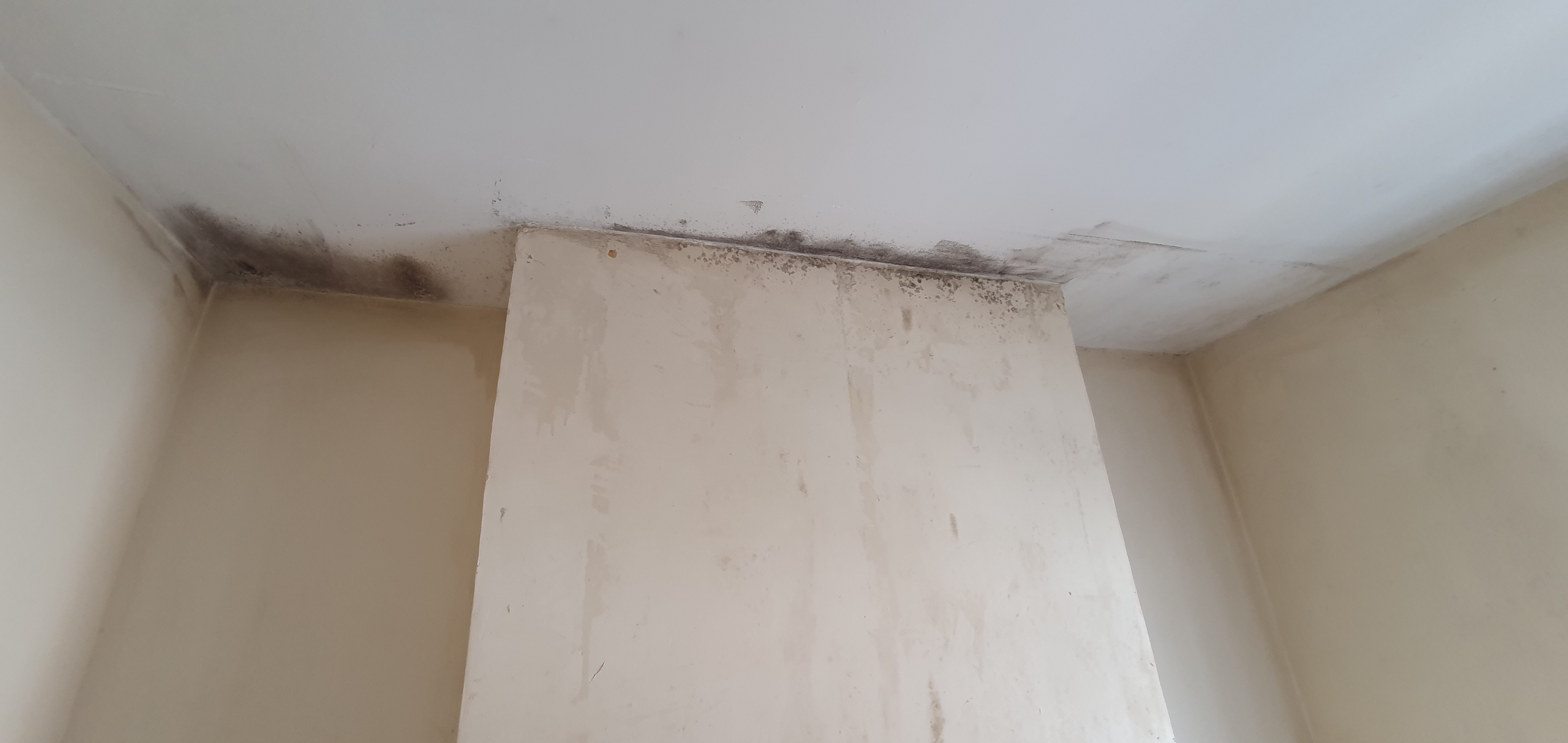 Protect Your Property